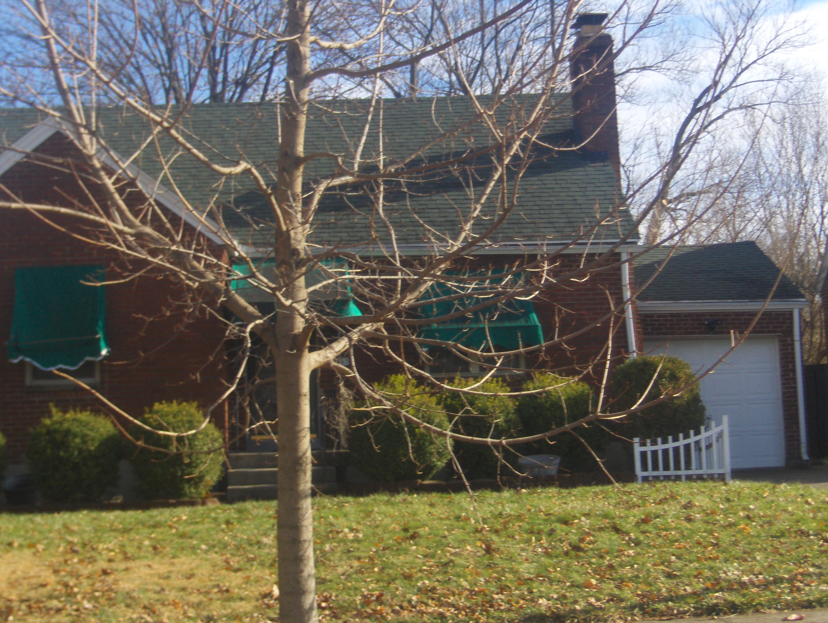 DAYTON 45419 546 SHADOWLAWN AVE